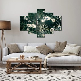 Obraz - Pavučina (150x105 cm)