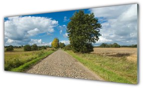 Obraz na akrylátovom skle Dedina cesta dlažba krajina 125x50 cm