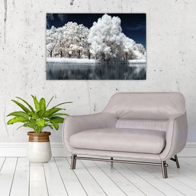 Obraz - Snehobiele stromy (90x60 cm)