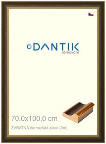 DANTIK rám na obraz 70x100 | ZVRATNÁ černozlatá plast (Plexi Čiré)