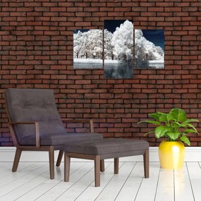 Obraz - Snehobiele stromy (90x60 cm)