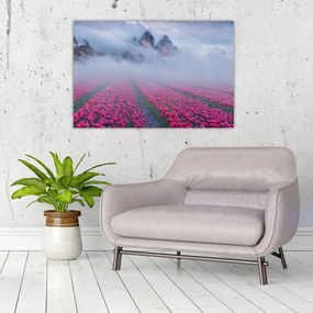 Obraz - Krajina s tulipánovými poľami (90x60 cm)