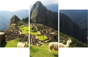 Obraz - Lamy v Machu Picchu (90x60 cm)