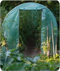 Záhradný tunelový skleník 3 × 2 m (6 m²) PLONOS 4910-C