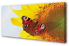 Obraz na plátne slnečnica motýľ 140x70 cm