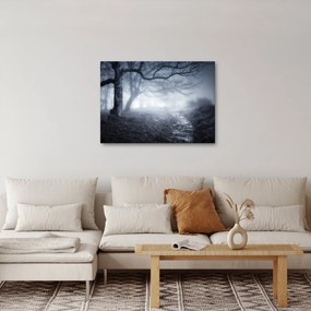 Obraz - Cesta v hmle (70x50 cm)