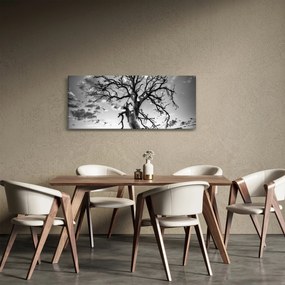 Obraz - Čiernobiely strom (120x50 cm)