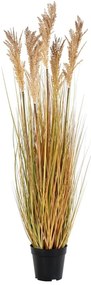Umelá tráva (výška 110 cm) Sorghum – House Nordic