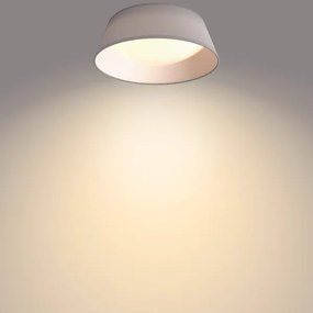 Philips - LED Stropné svietidlo DAWN LED/14W/230V šedá