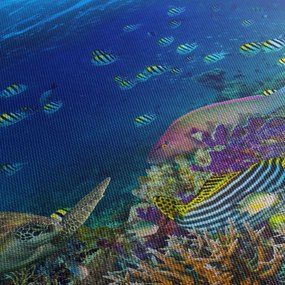 Obraz - Oceán (90x60 cm)