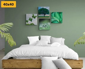 Set obrazov príroda plná zelene - 4x 40x40