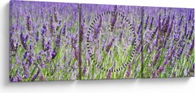 Obraz poľa s levanduľou (s hodinami) (90x30 cm)