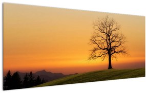 Obraz západu slnka na lúke (120x50 cm)