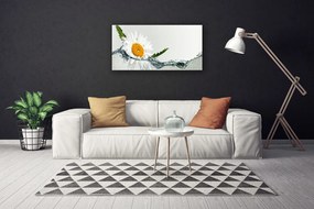 Obraz Canvas Sedmokráska vo vode 140x70 cm