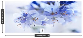 Fototapeta Vliesová Modré kvety 152x104 cm