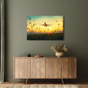 Obraz vzlietajúceho lietadla (90x60 cm)