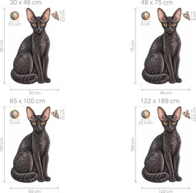 Mačka cornish rex tmavé mačacie nálepky na stenu pre milovníkov mačiek arch 30 x 46 cm