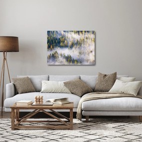 Obraz stromov v hmle (70x50 cm)