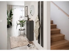 Antracitová skrinka 56x97x22 cm Ameca – Germania