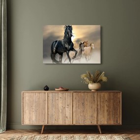 Obraz - Kone (90x60 cm)