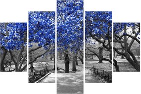 Obrázok - Modré stromy, Central Park, New York (150x105 cm)