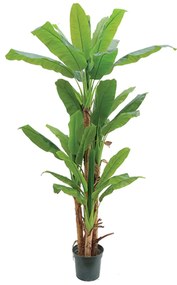 Artificial tree Bananowiec 200cm