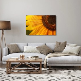 Obraz - Slnečnica (90x60 cm)