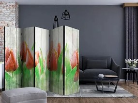 Paraván - Red tulips on wood II [Room Dividers]