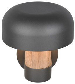 Nástenné vonkajšie svietidlo (výška 24,5 cm) Fraser – Trio