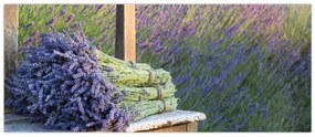 Obraz - Levanduľové zväzky (120x50 cm)