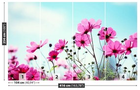 Fototapeta Vliesová Neba kvetina 250x104 cm