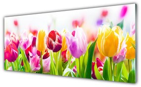 Obraz na akrylátovom skle Tulipány kvety 125x50 cm