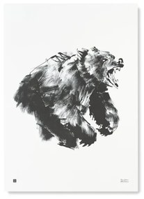 Teemu Järvi Plagát s motívom medveďa Roaring bear 50x70