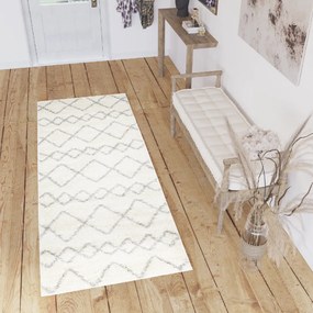 Dizajnový koberec ASTRID - SHAGGY ROZMERY: 60x100