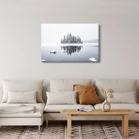 Obraz- Bolo bielo (90x60 cm)
