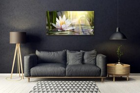 Skleneny obraz Vodné lilie slnko rybník 100x50 cm