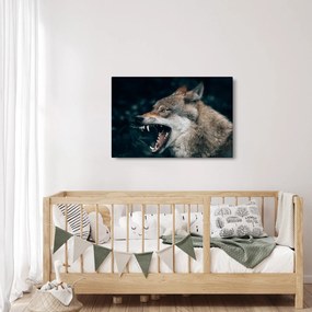 Obraz vlka (90x60 cm)