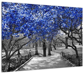 Obrázok - Modré stromy, Central Park, New York (70x50 cm)