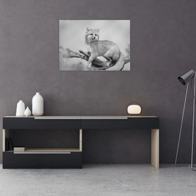 Obraz - Líška šedá (70x50 cm)