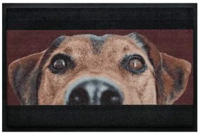 Premium rohožka- zvieratá - hnedý pes (Vyberte veľkosť: 75*50 cm)