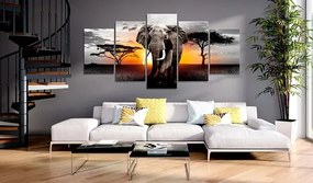 Obraz - Elephant at Sunset Veľkosť: 200x100, Verzia: Na talianskom plátne