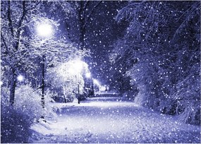 Obraz - Čarovná zimná noc (70x50 cm)