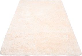 TA Koberec KRÉMOVÉ VTÁČIE PIERKO Rozmer: 140x190 cm