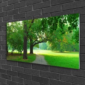 Skleneny obraz Chodník stromy príroda 100x50 cm