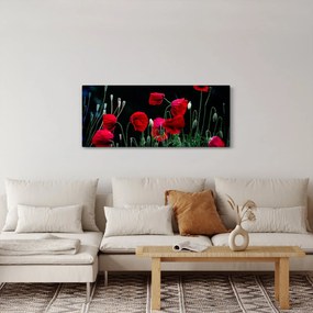 Obraz - Tanec vlčích makov (120x50 cm)