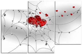 Obraz na plátne - Srdce v striebornej pavučine 178C (105x70 cm)