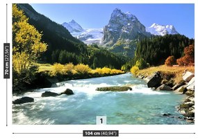 Fototapeta Vliesová Švajčiarske alpy 152x104 cm