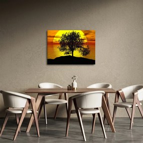 Obraz siluety stromu (70x50 cm)