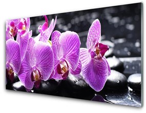 Obraz na skle Kvet kamene 125x50 cm