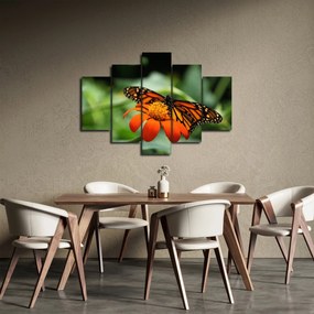 Obraz motýľa na kvetine (150x105 cm)